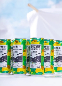 刺梨饮料罐装310ml